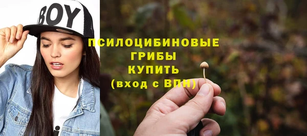ГАЛЛЮЦИНОГЕННЫЕ ГРИБЫ Горнозаводск