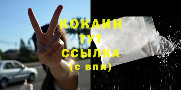 2c-b Горно-Алтайск