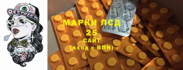 2c-b Горно-Алтайск
